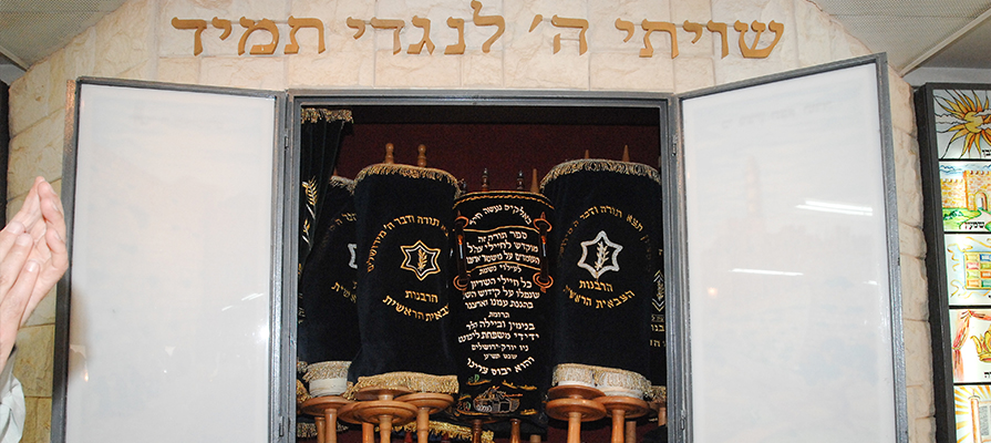 torah6